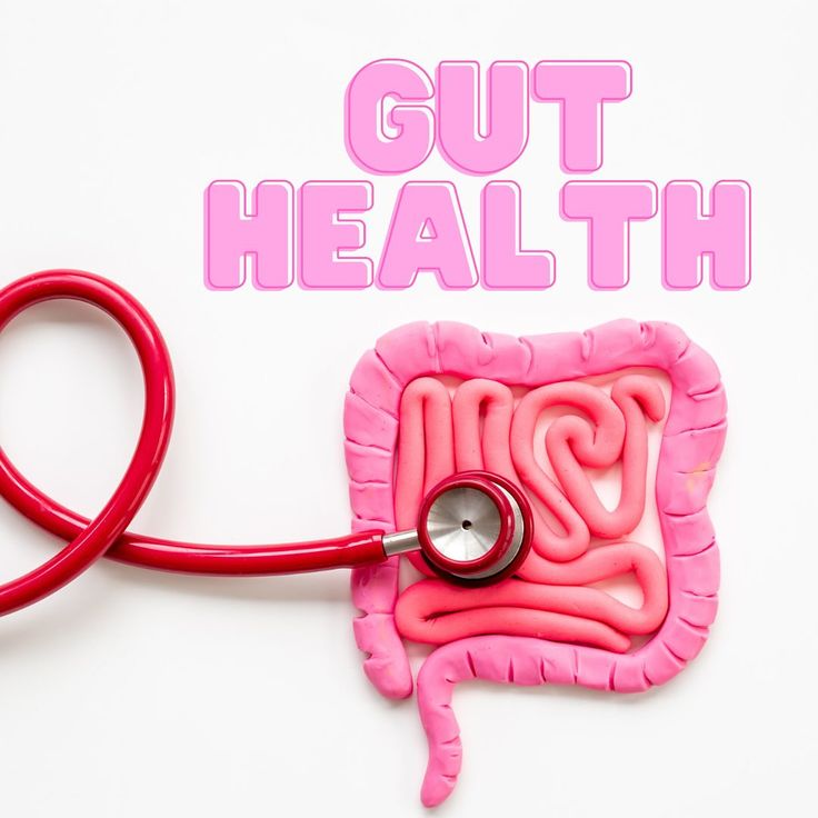 Gut & Digestive Support
