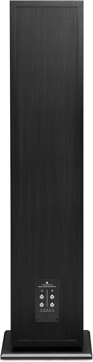 triangle - BOREA BR10 Hi-Fi Floorstanding Speakers - Power handling 200W - Efficiency 92 dB/W/m - 21cm Drivers - Versatile Music and Home Cinema - 245 x 1110 x 380 mm - Black (Piece)