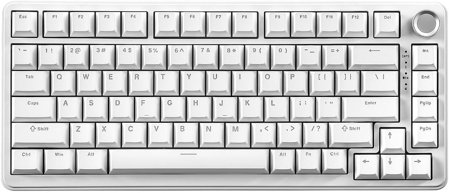 YUNZII B75 Mechanical Keyboard,75% Layout with Knob,Hot Swappable RGB Backlit Gasket Mounted, Creamy Typing, Double-Shot PBT Keycaps,Cherry Profile,for Win/Mac (White, Blue Grey Tactile Switch)