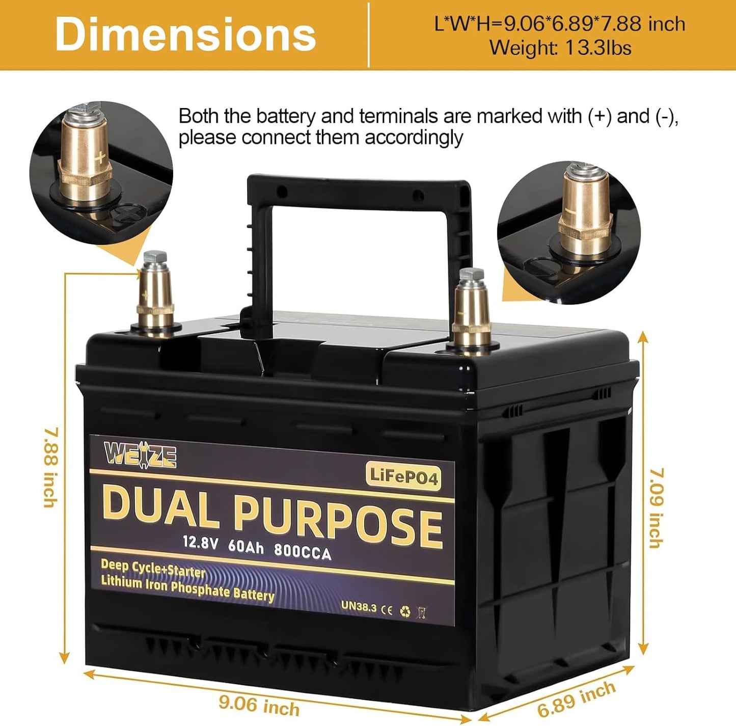 WEIZE 12V 60AH Dual Purpose LiFePO4 Lithium Battery, 800CCA Group 24 Group 34 Starting Battery Plus Deep Cycle Performance, Built-in Smart BMS, Perfect for Automotive, Trolling Motor, Marine, RV