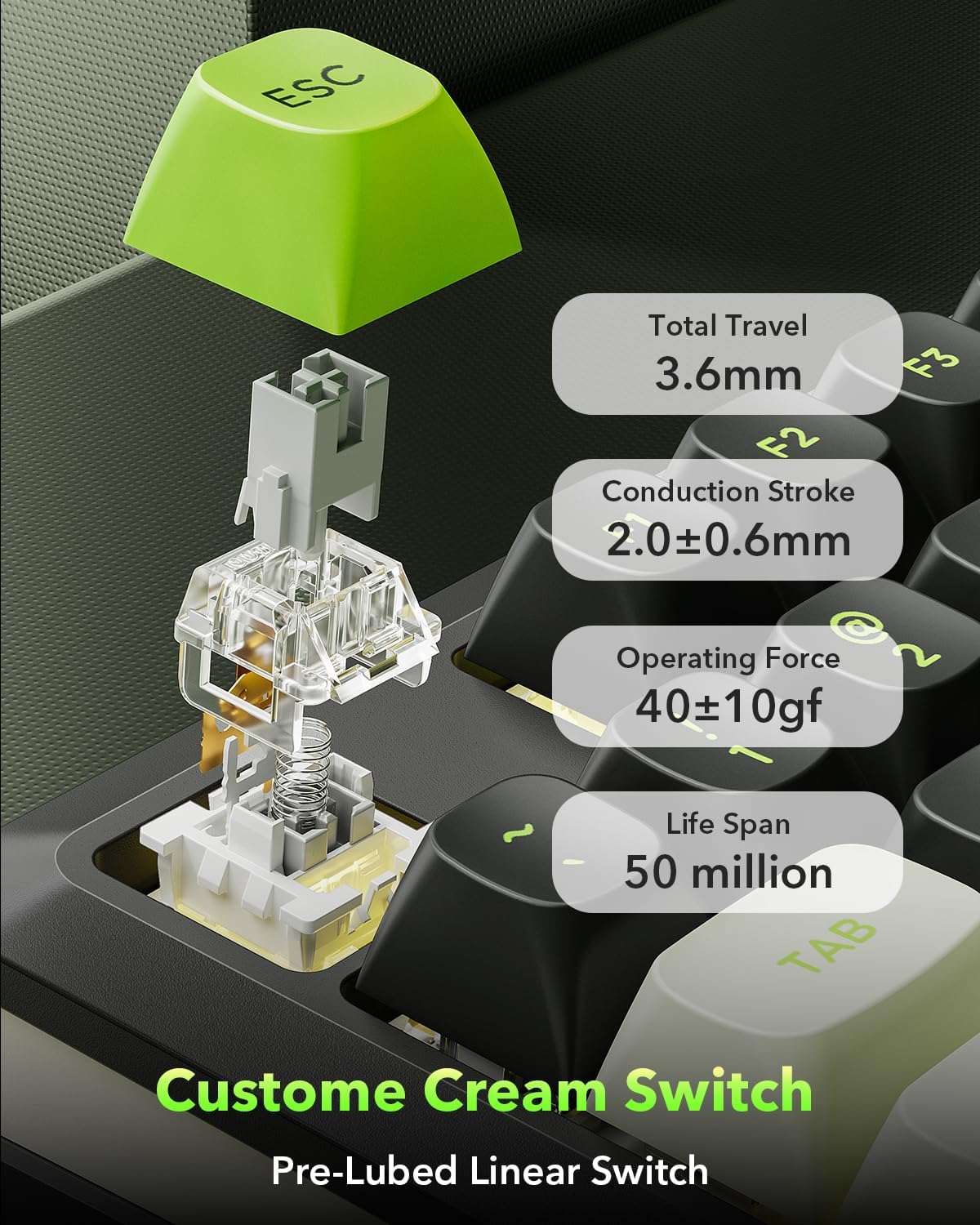 Redragon K734B Wireless Mechanical Keyboard,3-Modes Bluetooth Gasket Hot Swappable TKL RGB Custom Keyboard,Pre-lubed Switches, 81 Keys PBT Keycaps, South-Facing LEDs Socket