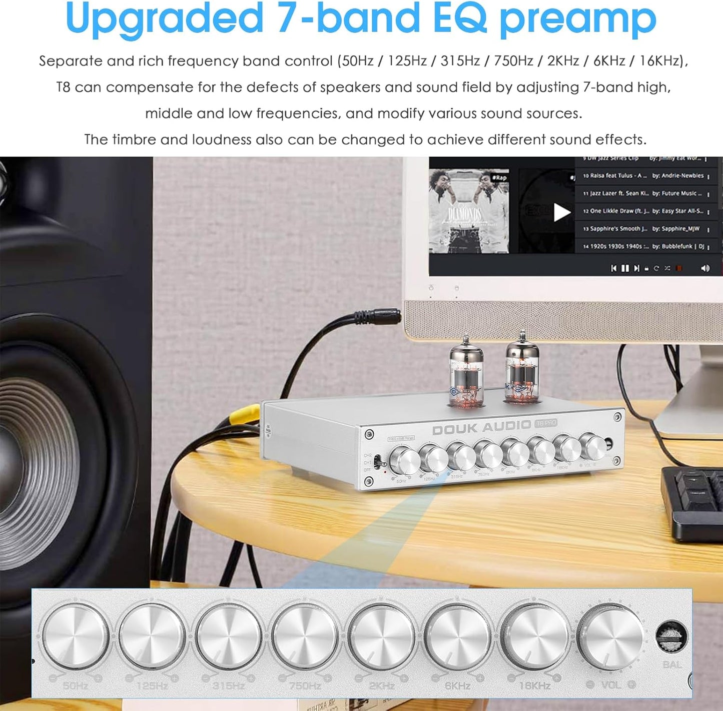Douk Audio HiFi Vacuum Tube 7-Band EQ Preamp Equalizer XLR Pre-Amplifier Home (T8 PRO Silver)