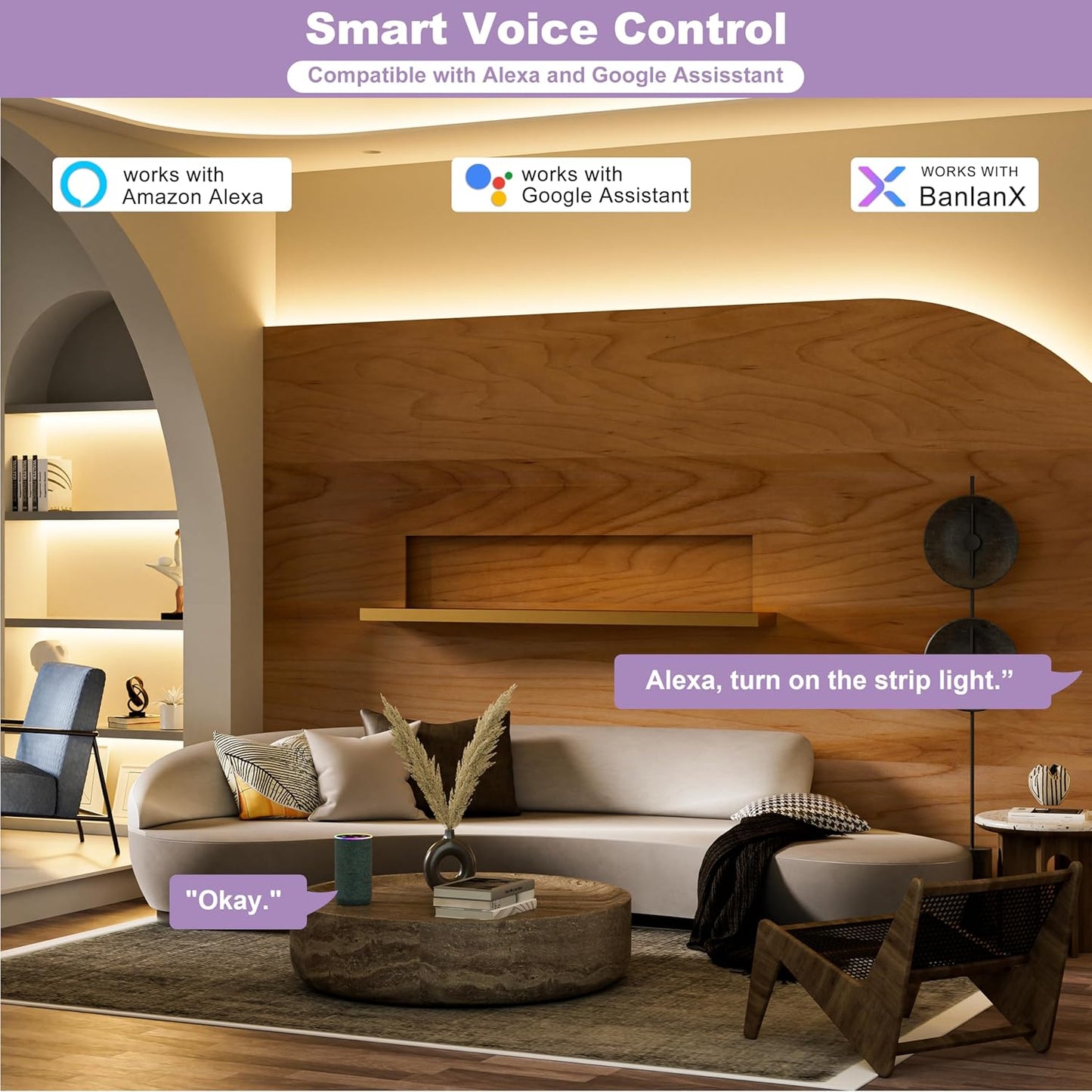 MIWISE LED Dimmer,Smart WiFi+Bluetooth Dimmable Controller with RF Remote,Work with Alexa/Google,Two Ports 5V/12V/24V for 3528/2835/5050/SMD COB Single Color LED Strip Lights,Timer/Memory Function